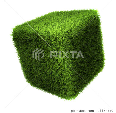 Grass Cube Grass Cube 21152559