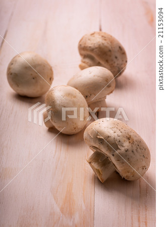 Mushrooms Mushrooms 21153094