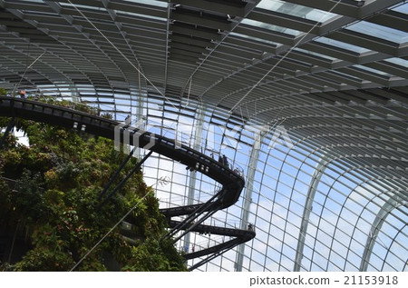 Cloud Forest 21153918