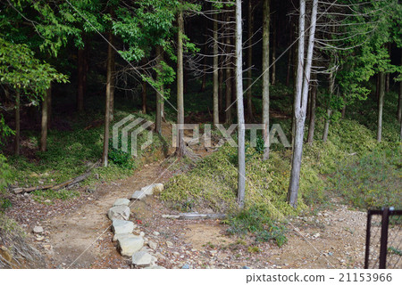 Rokko Mountain Tokugawa road 21153966