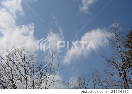 雲 雲 21154515