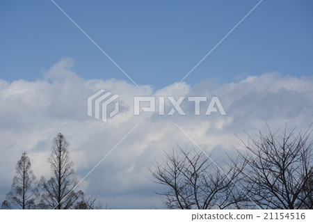 雲 雲 21154516