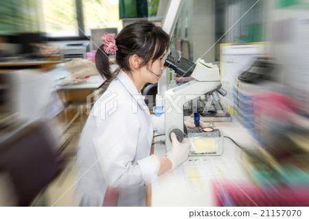 Medical Technologist streak plate for bacteria Medical Technologist streak plate for bacteria 21157070