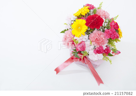 康乃馨花束白色背景 康乃馨花束白色背景 21157082