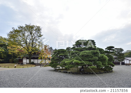 Kyoto gyoen shrine pillar ruins Kyoto gyoen shrine pillar ruins 21157856