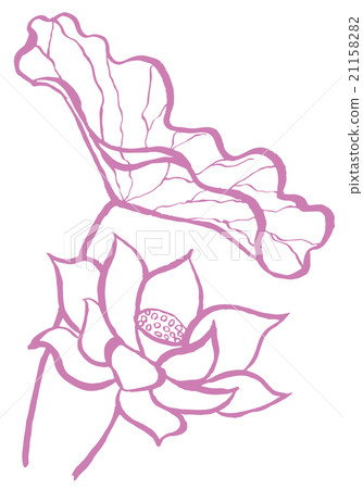 蓮花手繪插圖 插圖素材 2115 圖庫