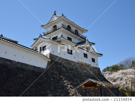 Shiroishi Castle 21159854