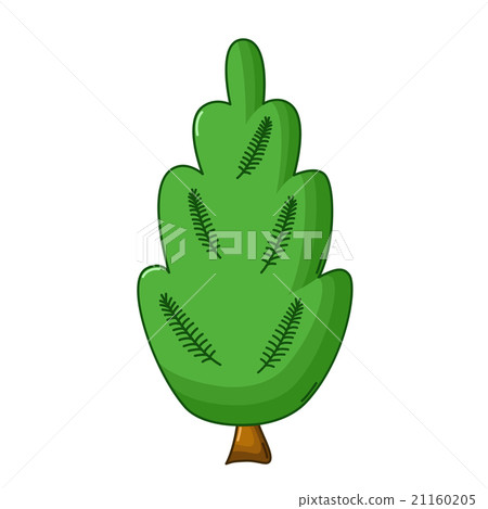 Juniper tree icon, cartoon style 21160205