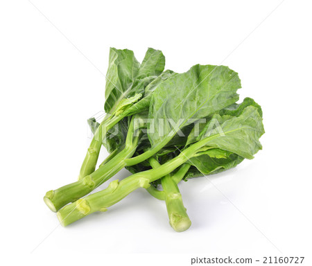 Kale on white background 21160727