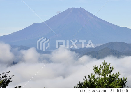 Summer Fuji view Summer Fuji view 21161556