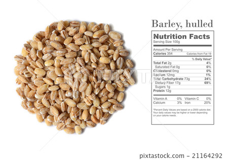 barley grain seeds barley grain seeds 21164292