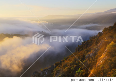 Misty dawn 21164412