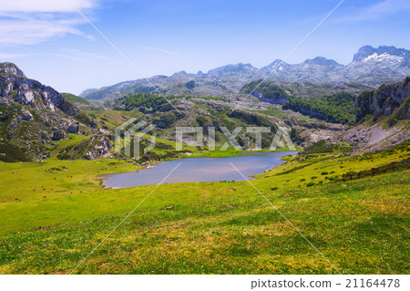 landscape with lake and pasture landscape with lake and pasture 21164478