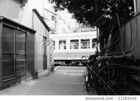 Near the Tokaido Arakawa line and Kishiko Near the Tokaido Arakawa line and Kishiko 21165426