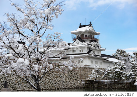 Snow's Toyama Castle 21165837