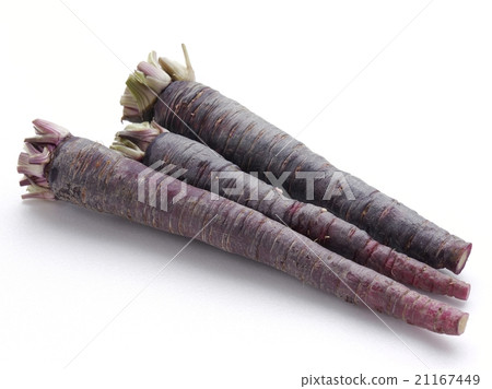Black carrot 21167449