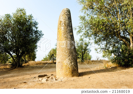 menhir in Almendres near Evora, Alentejo, Portugal 21168019