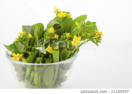 Asparagusa Ichiyama Glass Ball 21169597