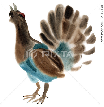 Watercolor illustration of a bird capercaillie 21170300