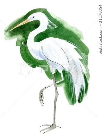 Watercolor illustration of a bird Heron Watercolor illustration of a bird Heron 21170354