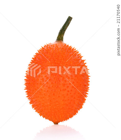 Gac on white background Gac on white background 21170540