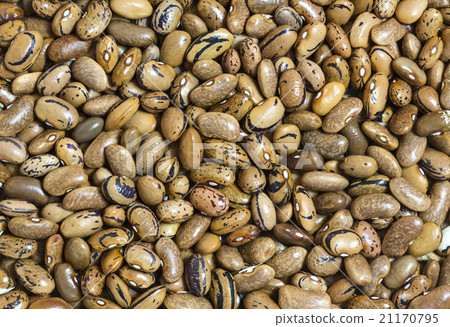 background bean seeds 21170795