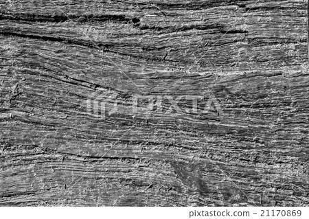 Black&White weathered cracked wood background 21170869