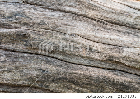 Nature wood background 21171333