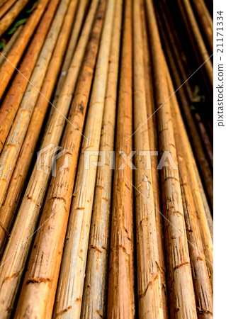 Old round wood background 21171334