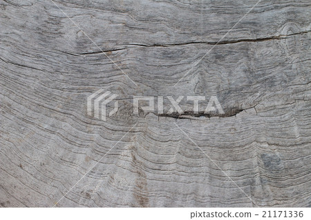 Old wood texture 21171336