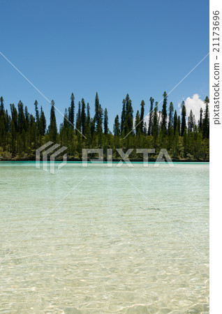 Pischenne Naturrel（新喀裡多尼亞，Ille des bains） 21173696