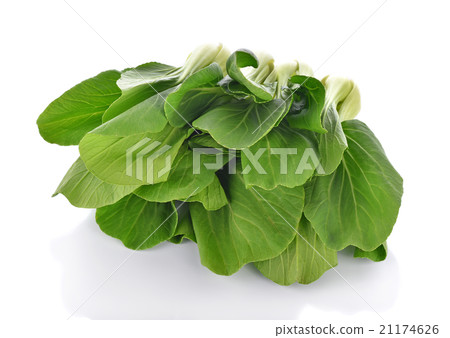 Bok choy vegetable on white background 21174626