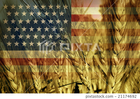 American Agriculture American Agriculture 21174692