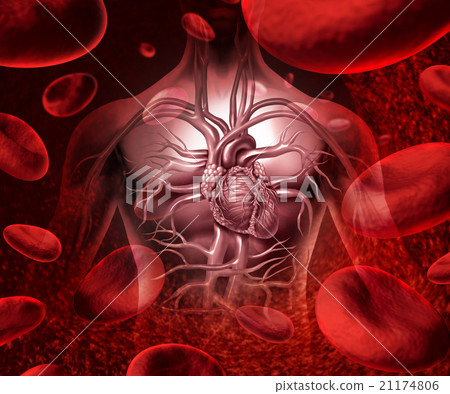 Blood System And Circulation 21174806