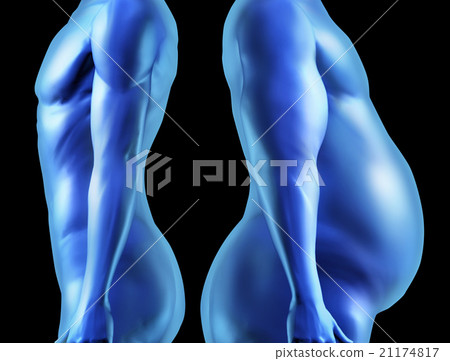 Human Body Shape Comparison 21174817