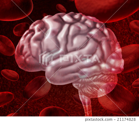 Brain Blood 21174828