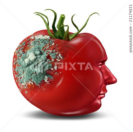 Brain Decay 21174831