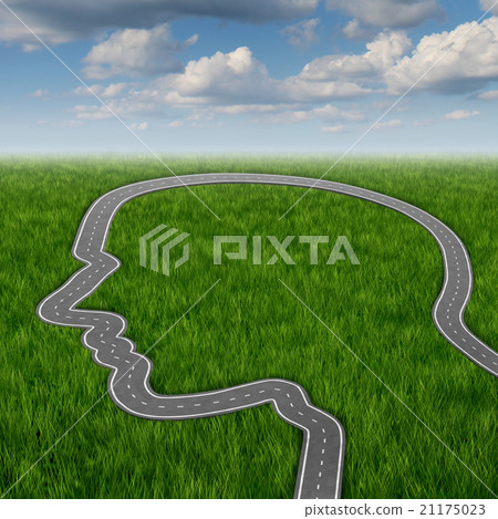 Career Path Career Path 21175023