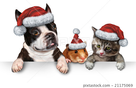 Christmas Pet sign 21175069