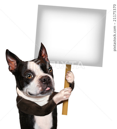 Dog Holding Sign 21175370