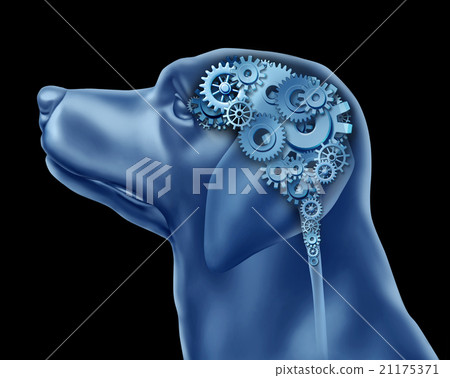 Dog Intelligence Dog Intelligence 21175371