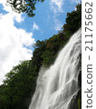Tentaki 21175662