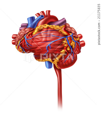 Heart Intelligence Heart Intelligence 21175835