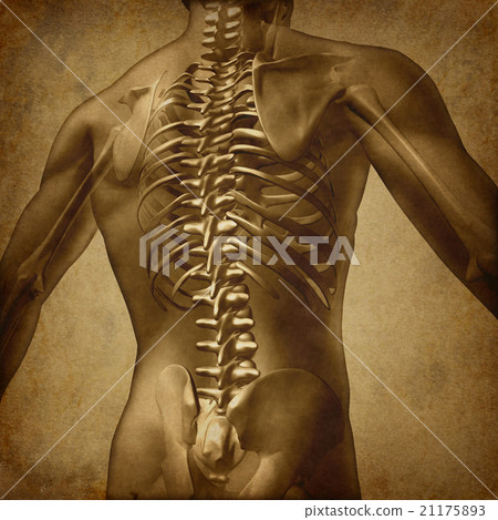 Human Back Grunge Texture 21175893