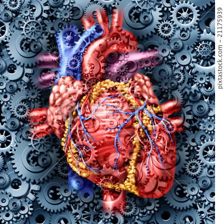 Human Heart Health 21175939