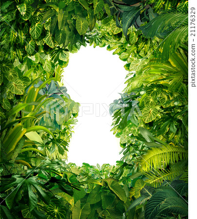 Out Of The Jungle 21176329