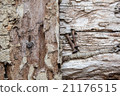 wood&nail 21176515