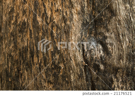 woodpatternbrown3 21176521