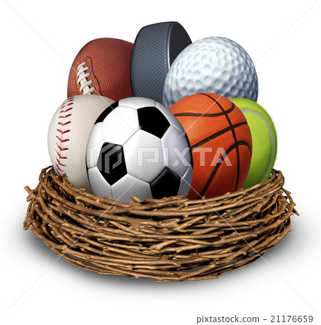 Sports Nest Sports Nest 21176659
