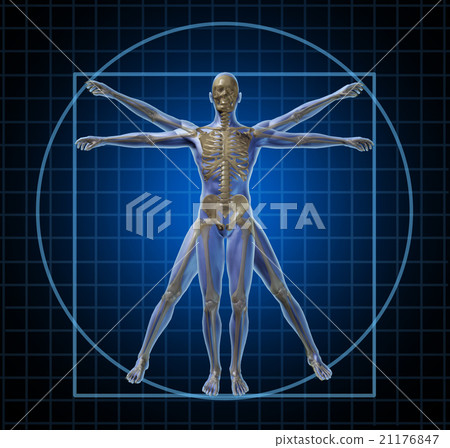 Stock Illustration: Vitruvian Human Skeleton Man